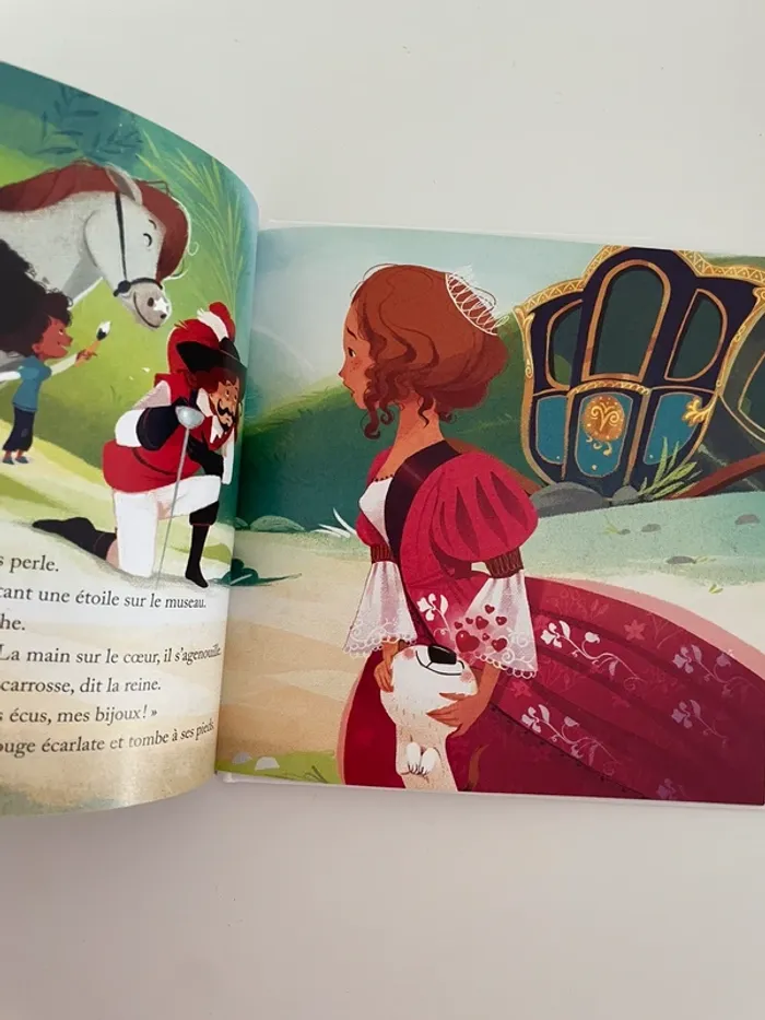 Livre une aventure avec d’artagnan - photo numéro 4