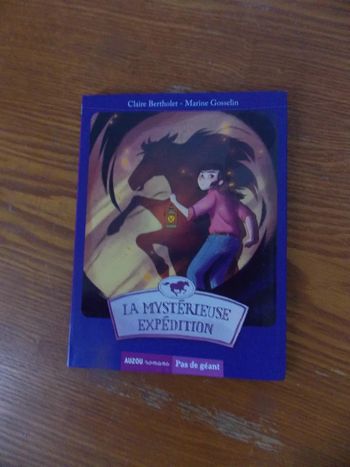 Livre La mystérieuse expéditions Auzou