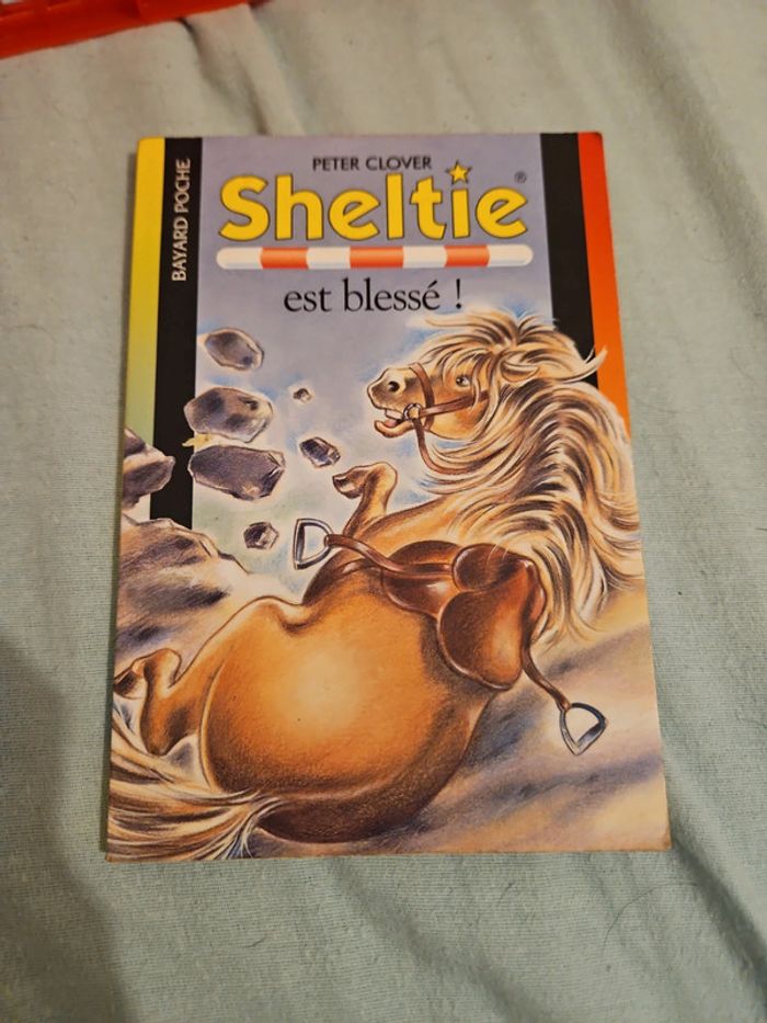 📗 Livre Seltie est blessé n°420