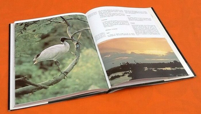 A. Borgioli / G. Capelli / Robert Burton Rivages et marais du monde - photo numéro 2