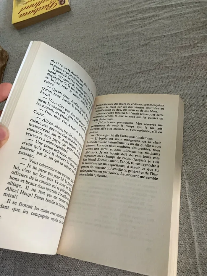 Les Fleurs bleues - Raymond Queneau - photo numéro 5