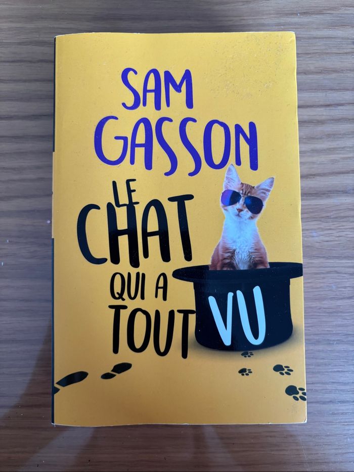 Roman Le chat qui a tout vu