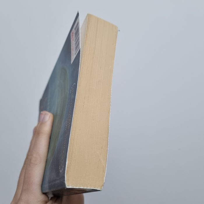 Les mystérieuses cités d'or - photo numéro 8