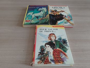 Lot de 3 livres, Divers (idéal bibliothèque)(11)