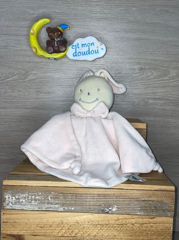DIV495 doudou lapin 🐰 pop art