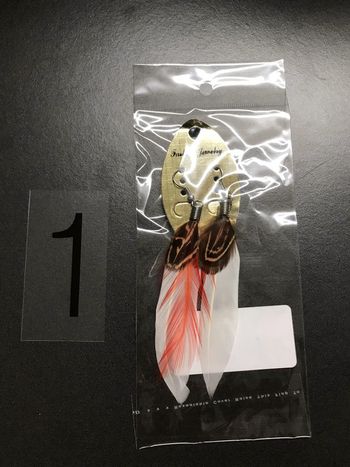 Boucles d'oreilles plumes sioux