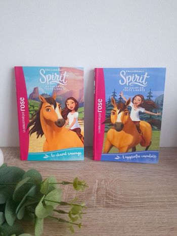 Lot livre Spirit Tome 1 & 2