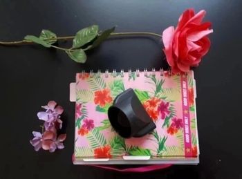 Embout pour sèche cheveux professionnel