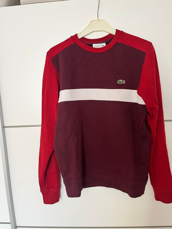 Sweat Lacoste bordeaux