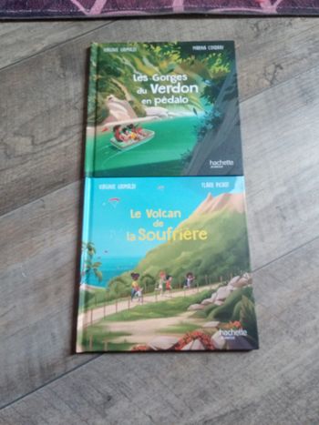 Lot 2 livre série les merveilles de France