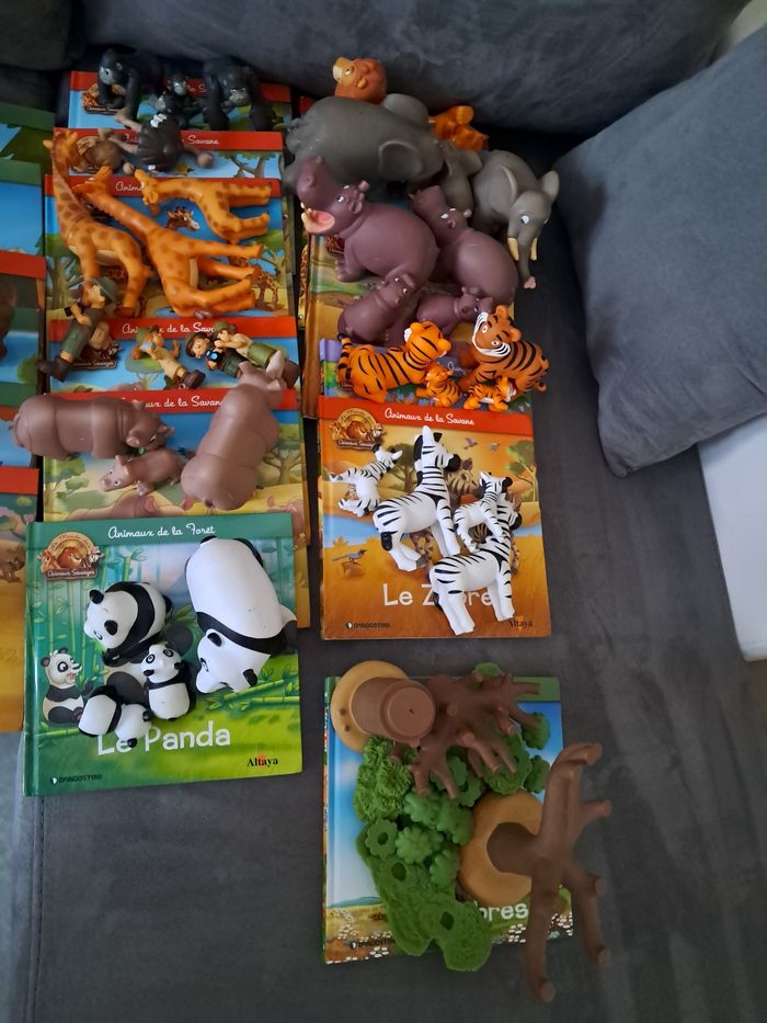 Lot livres et animaux de la collection le monde des animaux sauvage - photo numéro 4