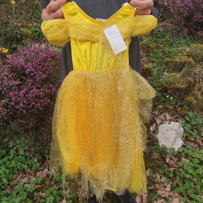 Deguisement Robe Princesse  Enfant - photo numéro 2