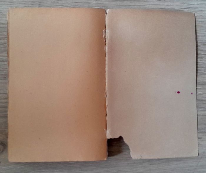 André Maurois - Alain - photo numéro 10