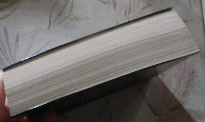 L'invité de la dernière heure de Charlotte Link Ed. France Loisirs - photo numéro 4