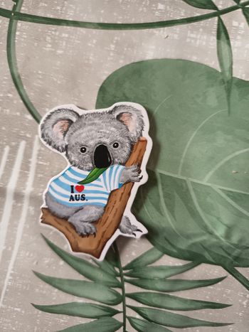 Magnet koala 