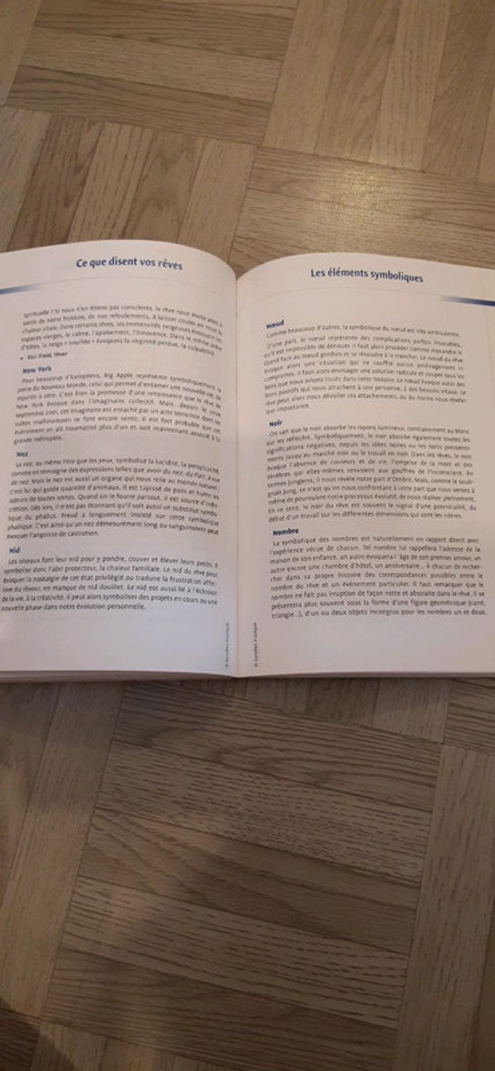 Ce que disent vos rêves - photo numéro 3