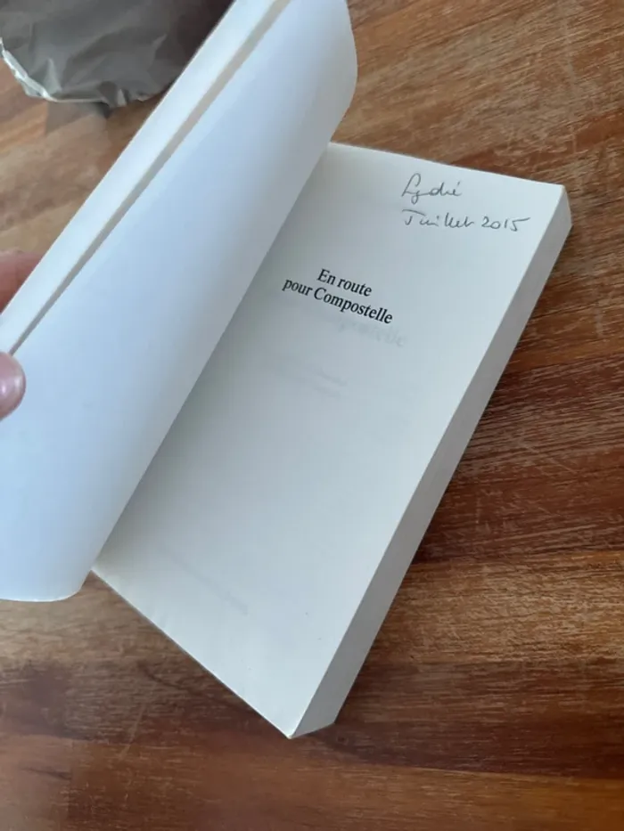 Livre en route pour Compostelle - photo numéro 4