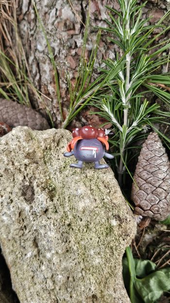 Super figurine Pokemon Nintendo tomy C.G.T.S.J Ortide 