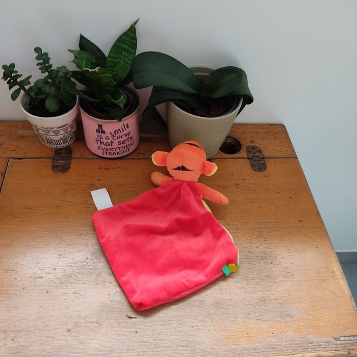 Doudou Tigrou Disney - photo numéro 3