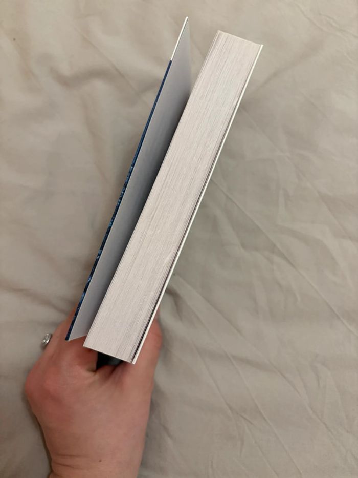 Livre de Laura S Wild - photo numéro 3