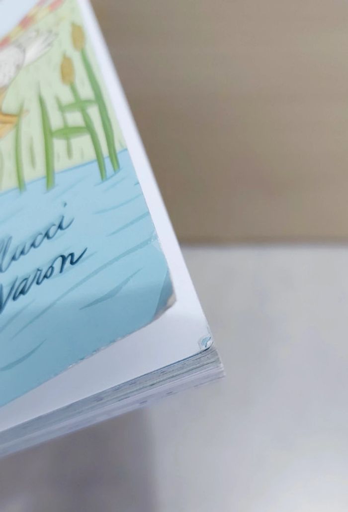 🌺 Livre (école des loisirs) : Des canards trop bizarres - photo numéro 8