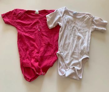 Lot 2 bodies manches courtes 18mois