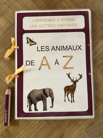 Cahier effaçable enfant - Apprendre les lettres A à Z 🐘 (3-6 ans)