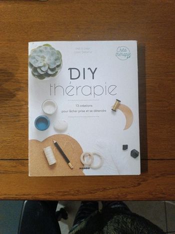 Livre Diy thérapie