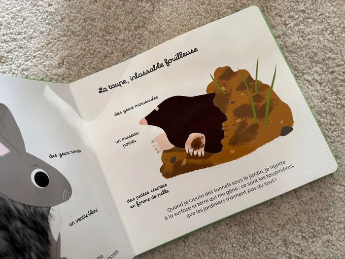 Livre mes docus à toucher : Les animaux du jardin 🌻 - photo numéro 2