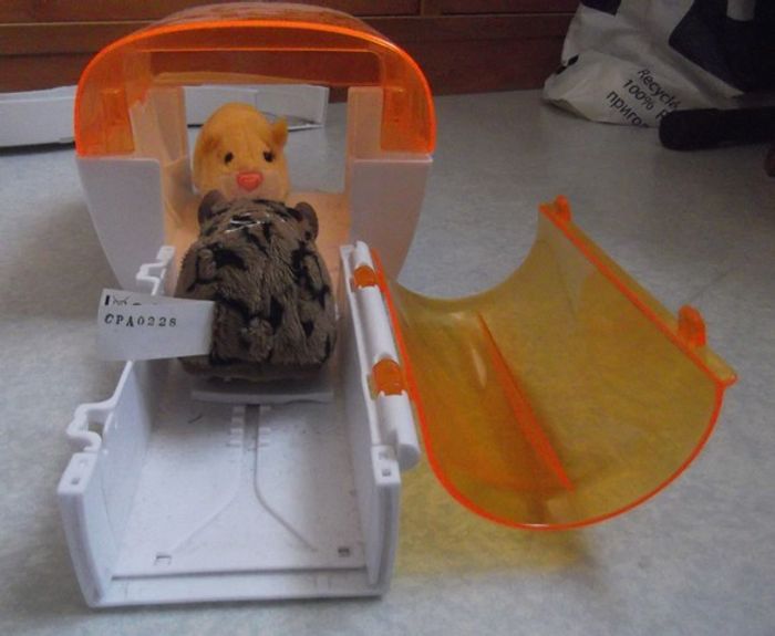 Zhu Zhu Pet Garage & Voiture - photo numéro 6
