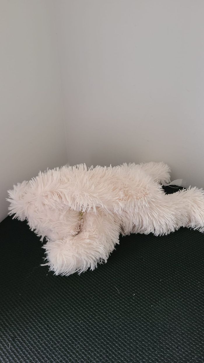 doudou ours - photo numéro 5