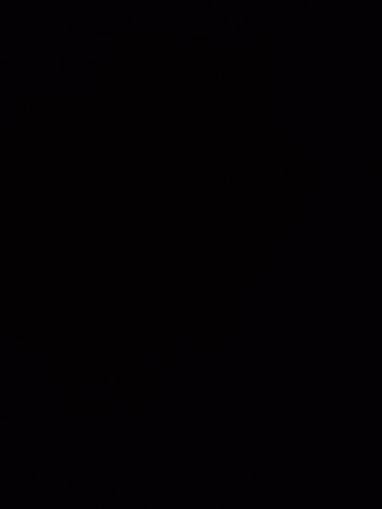 Lot de vêtements JUMEAUX