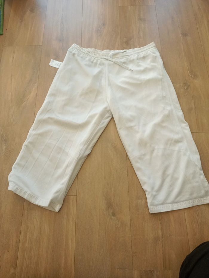 Pantacourt Airness - photo numéro 3