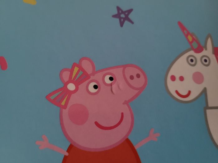 Livre Peppa Pig - photo numéro 5