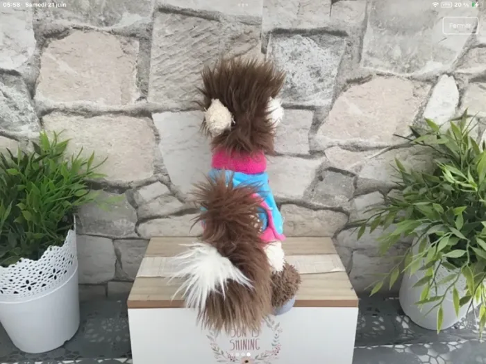 Peluche galupy diddl - photo numéro 6