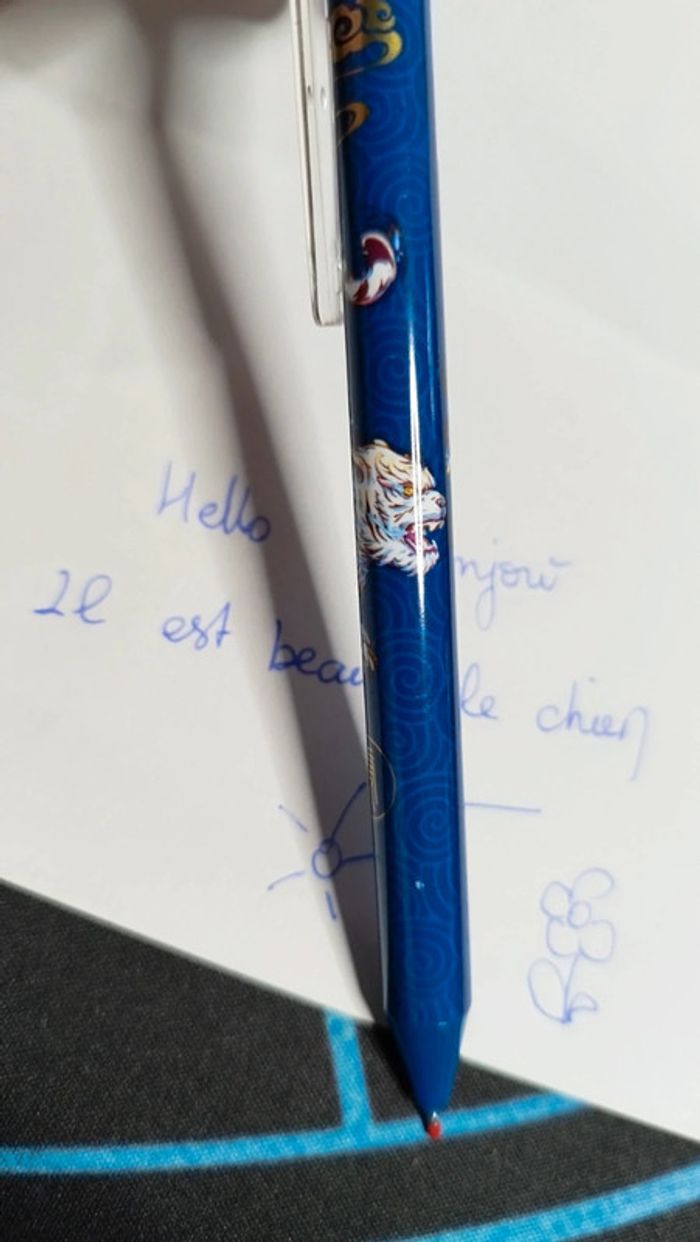 Stylo roller effaçable motif chinois - photo numéro 3
