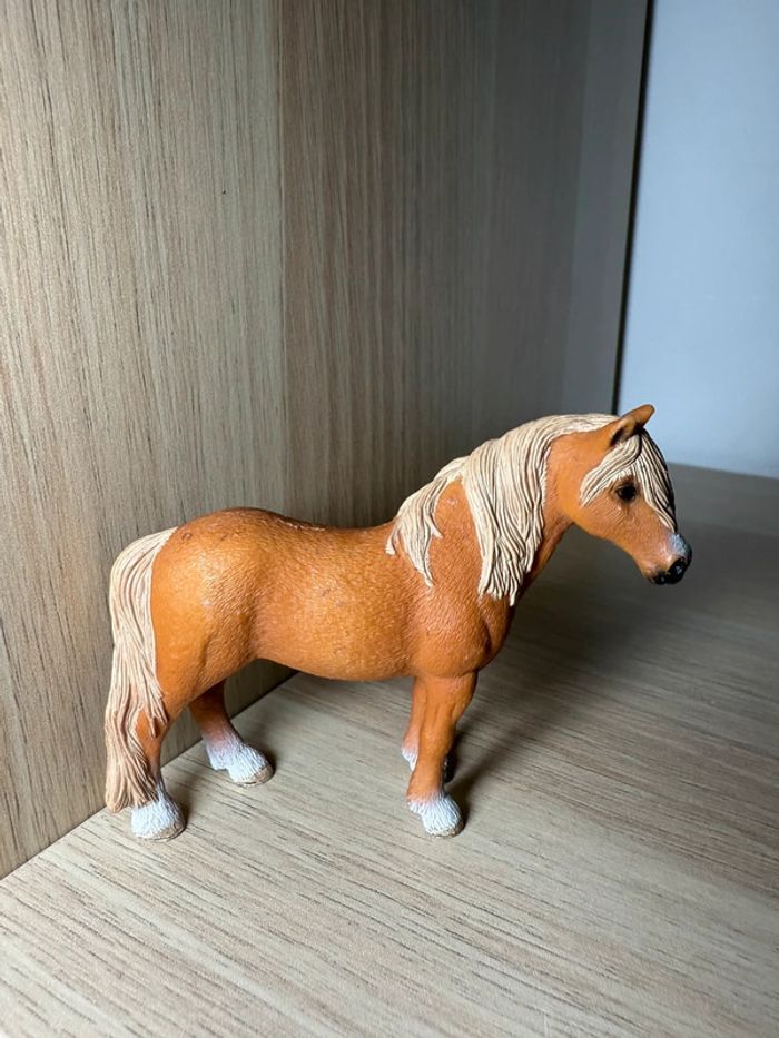 Étalon dartmoor schleich