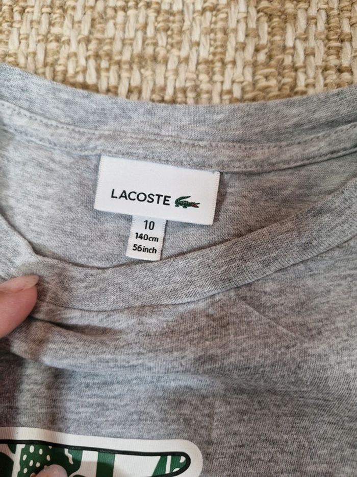 Tee shirt lacoste 10 ans - photo numéro 2