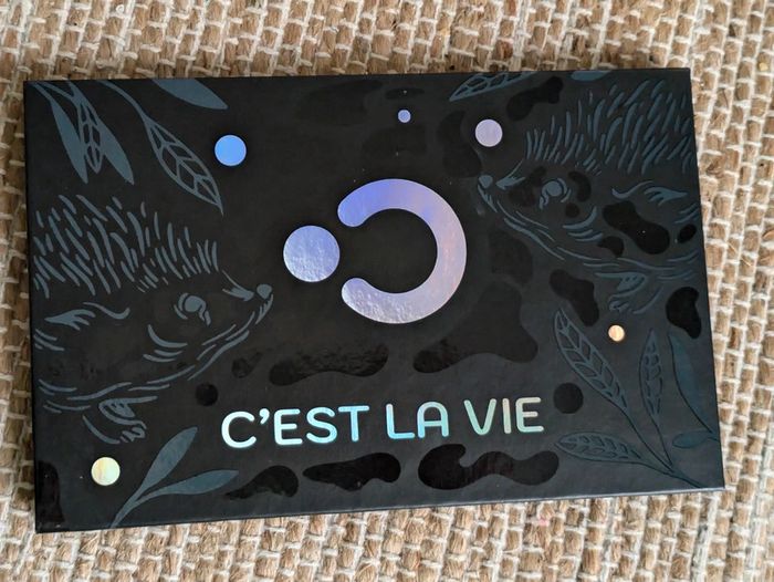 Palette C'est la vie The Dots - photo numéro 2