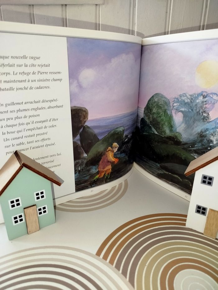 📚 École des loisirs Le refuge de Pierre - photo numéro 2