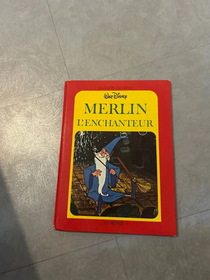 Livre Disney - photo numéro 2