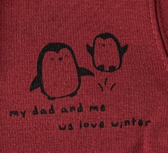 Pull pingouin - photo numéro 5