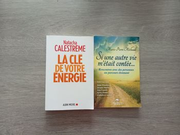 Lot de 2 livres la clé de votre énergie et si une autre vie m'était contée