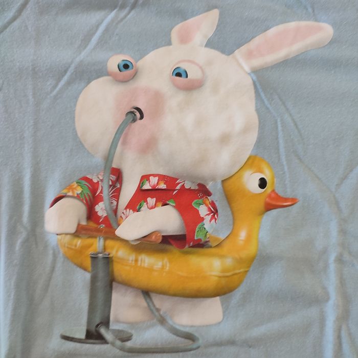Tee-shirt 8 ans Lapin Crétin - photo numéro 2