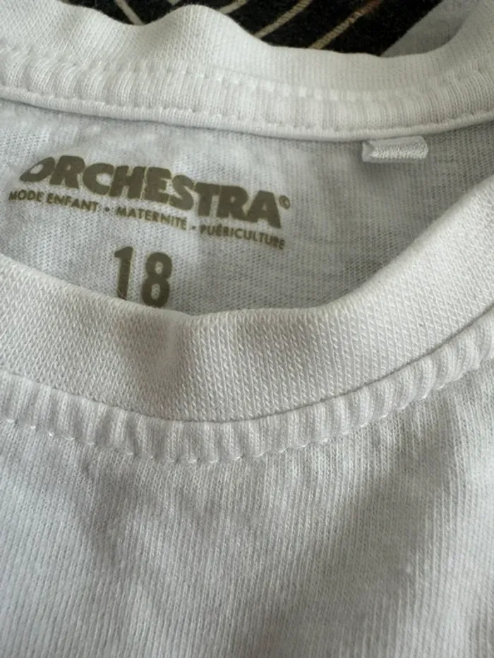 Ensemble orchestra - photo numéro 3
