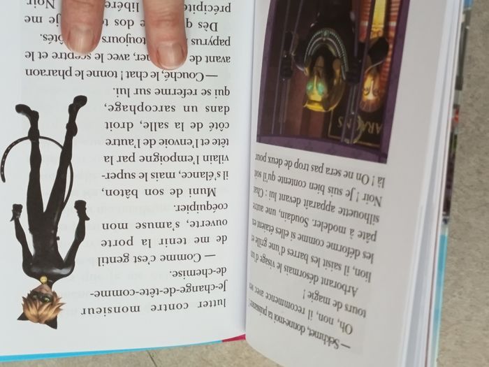 Miraculous - tome 3 - photo numéro 5