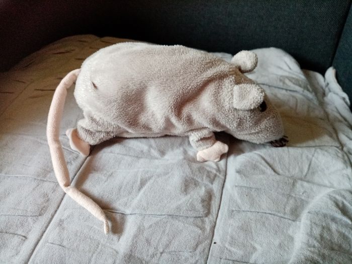 Rat en peluche - photo numéro 2