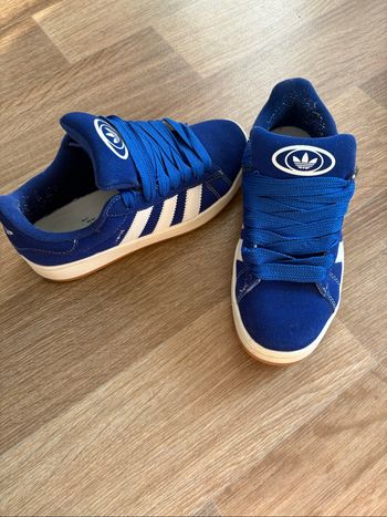 basket Adidas campus