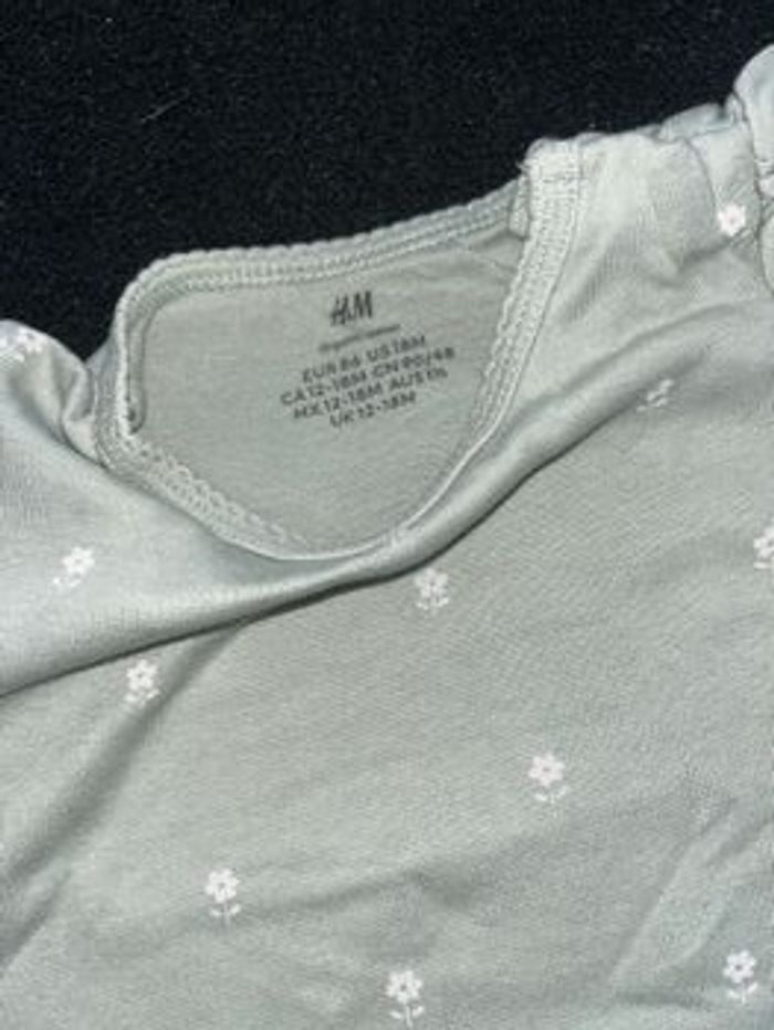 Bodie 18 mois - photo numéro 4