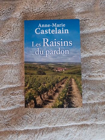 Les raisins du pardon de Anne Marie Castelain